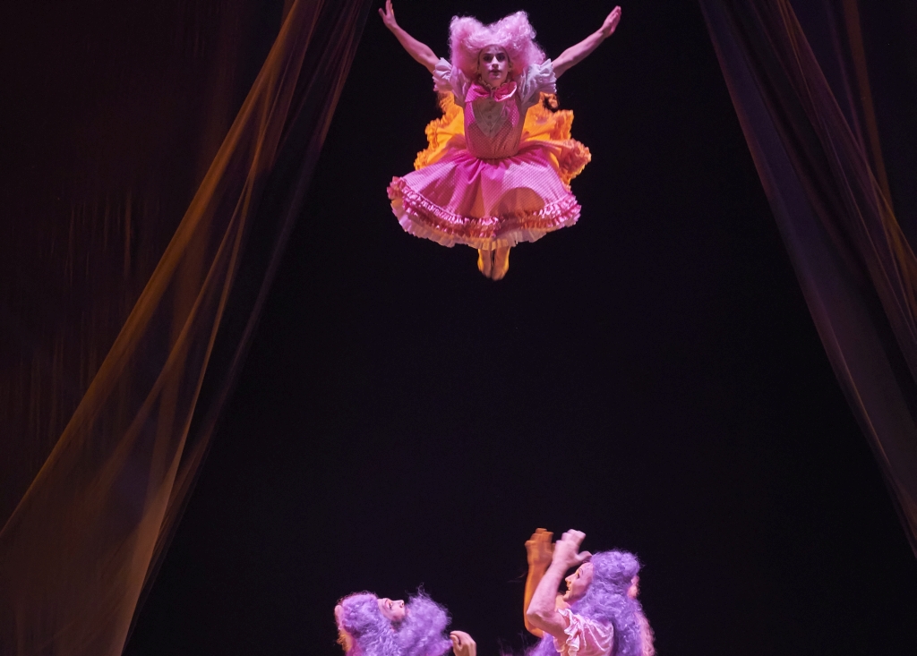 Le Ballet royal de la nuit