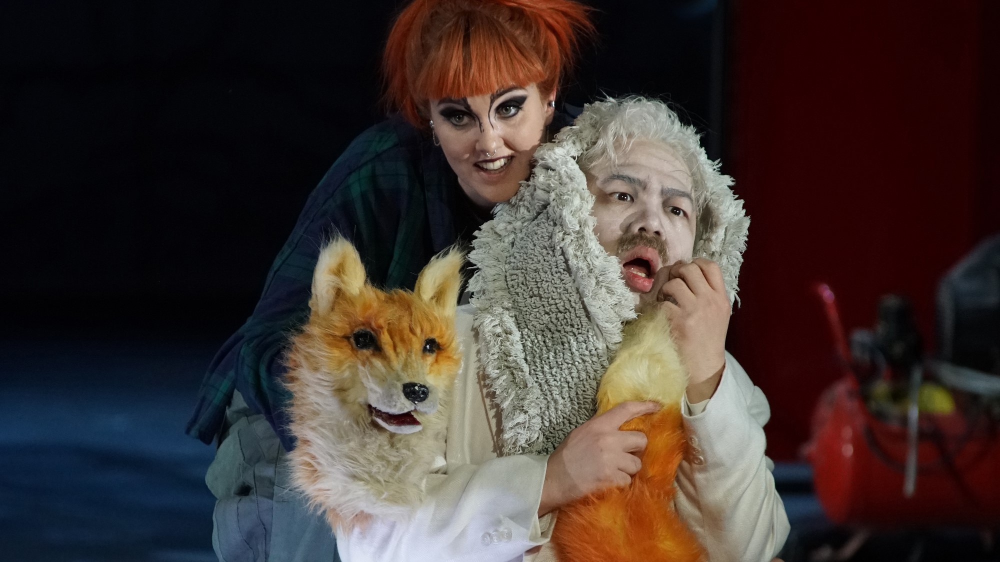 The Cunning Little Vixen